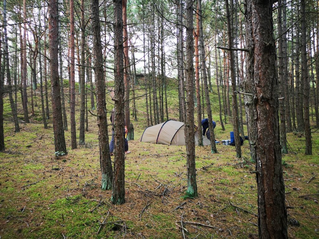 Lagerplatz im Küstenwald